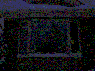 Star Bright at home